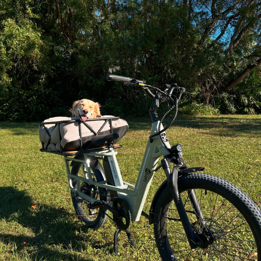 Troubleshooting Walk Mode Failures in E-Bikes