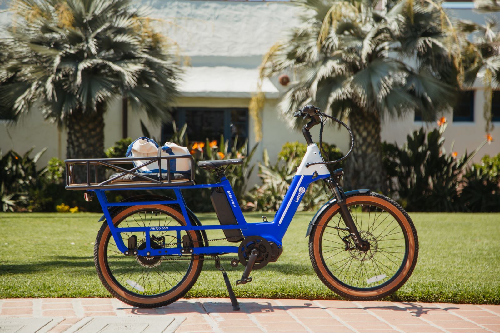 Letrigo Minivan Cargo Bike