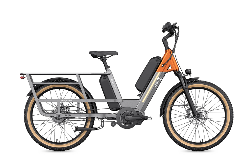 Gray Minivan long-tail electric bike, can seat two people