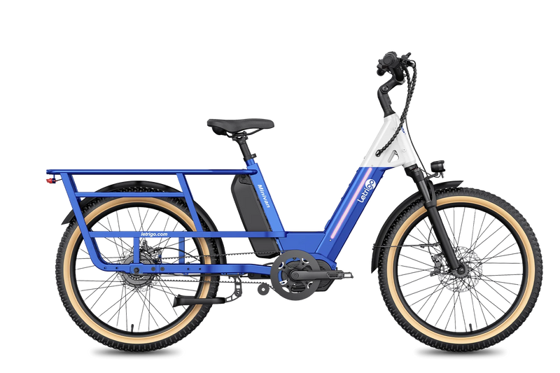 Blue single-battery Letrigo Minivan electric long-tail bike