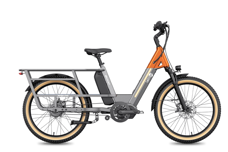 Letrigo minivan electric bike with bench seat