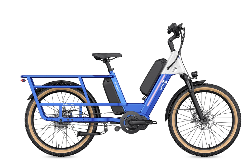 Letrigo Minivan electric bike, with dual batteries, long range, can carry two people, suitable for family travel