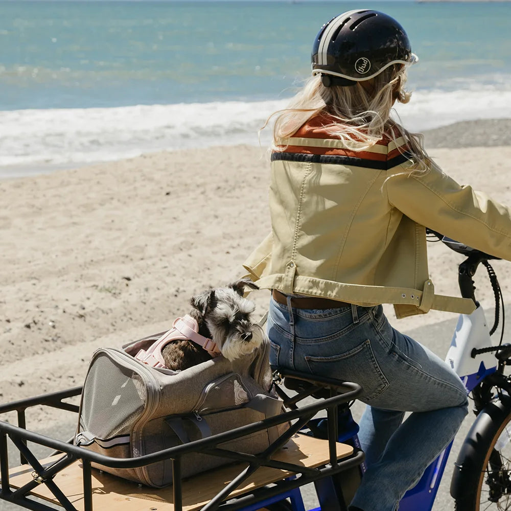 Why Electric Cargo Bike Frames Crack and How to Prevent It