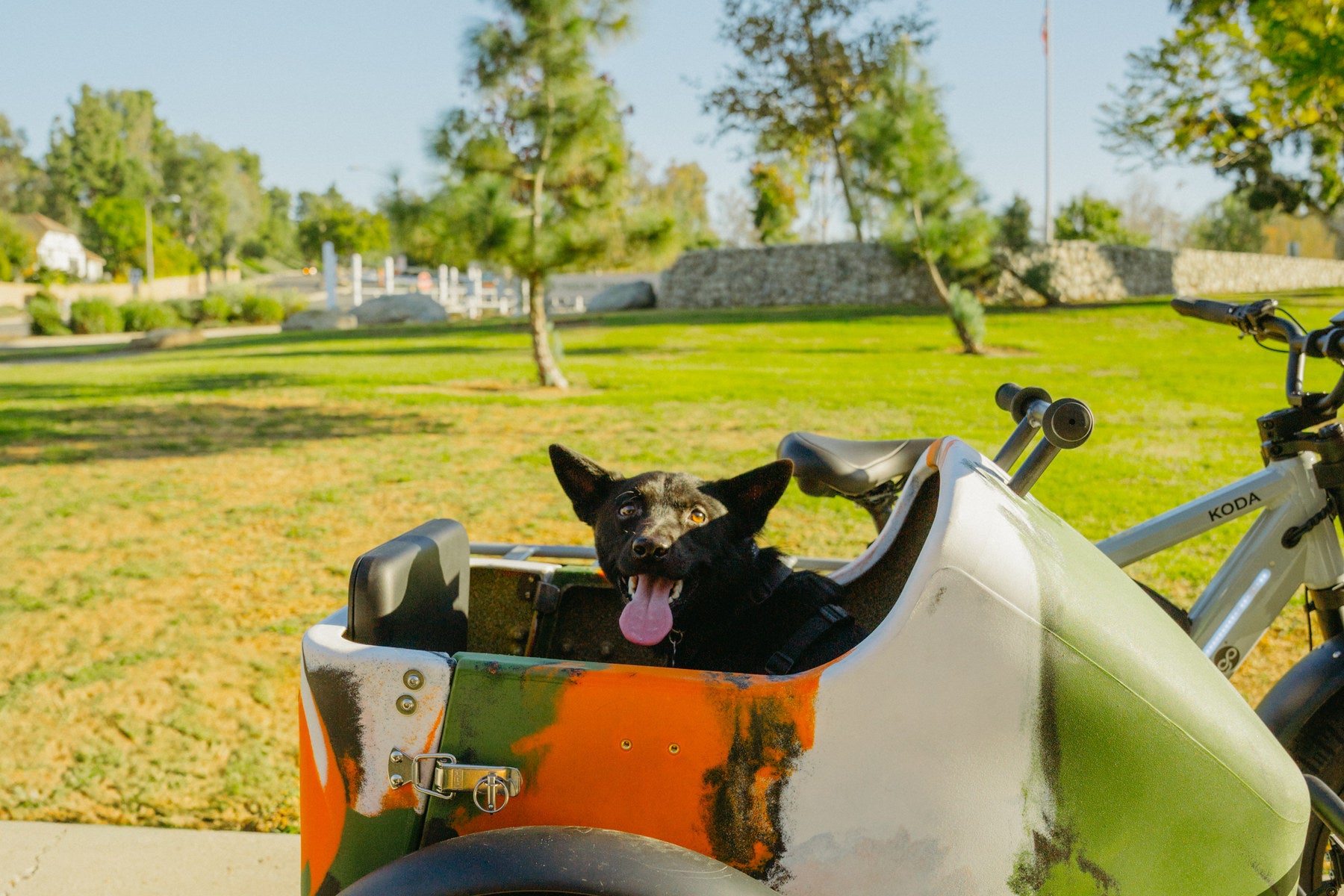 Are Electric Bikes Allowed on Bike Trails?
