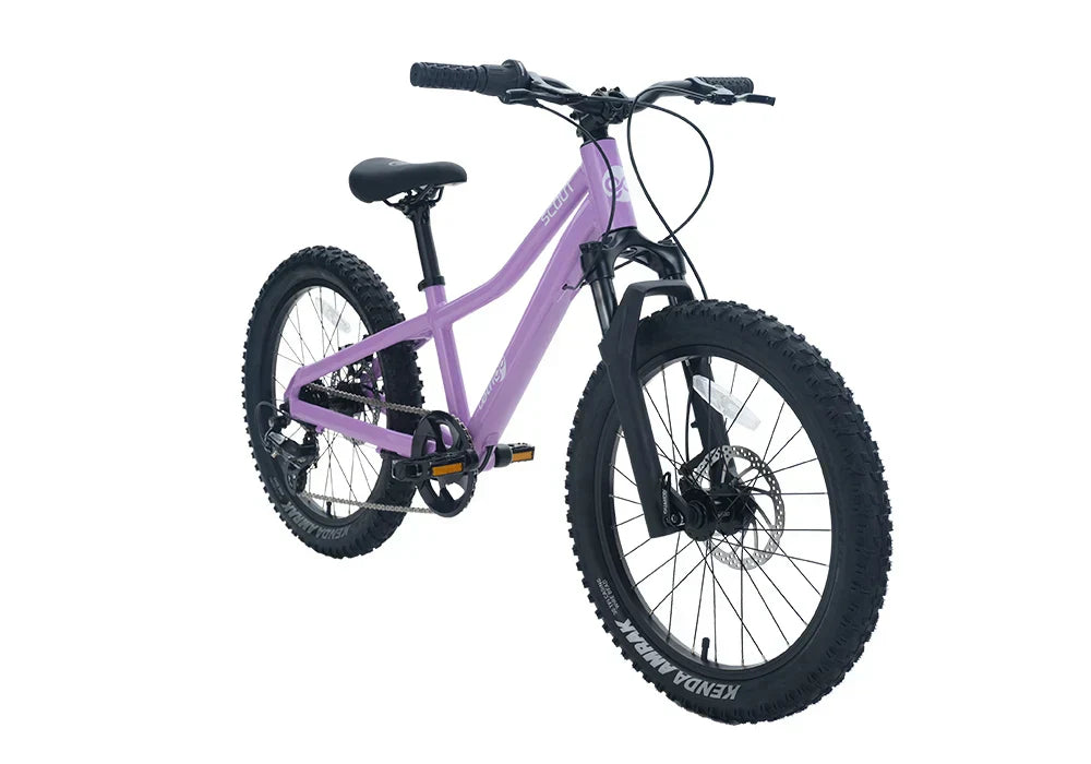 How to Choose the First Pedal Bike for Your Child