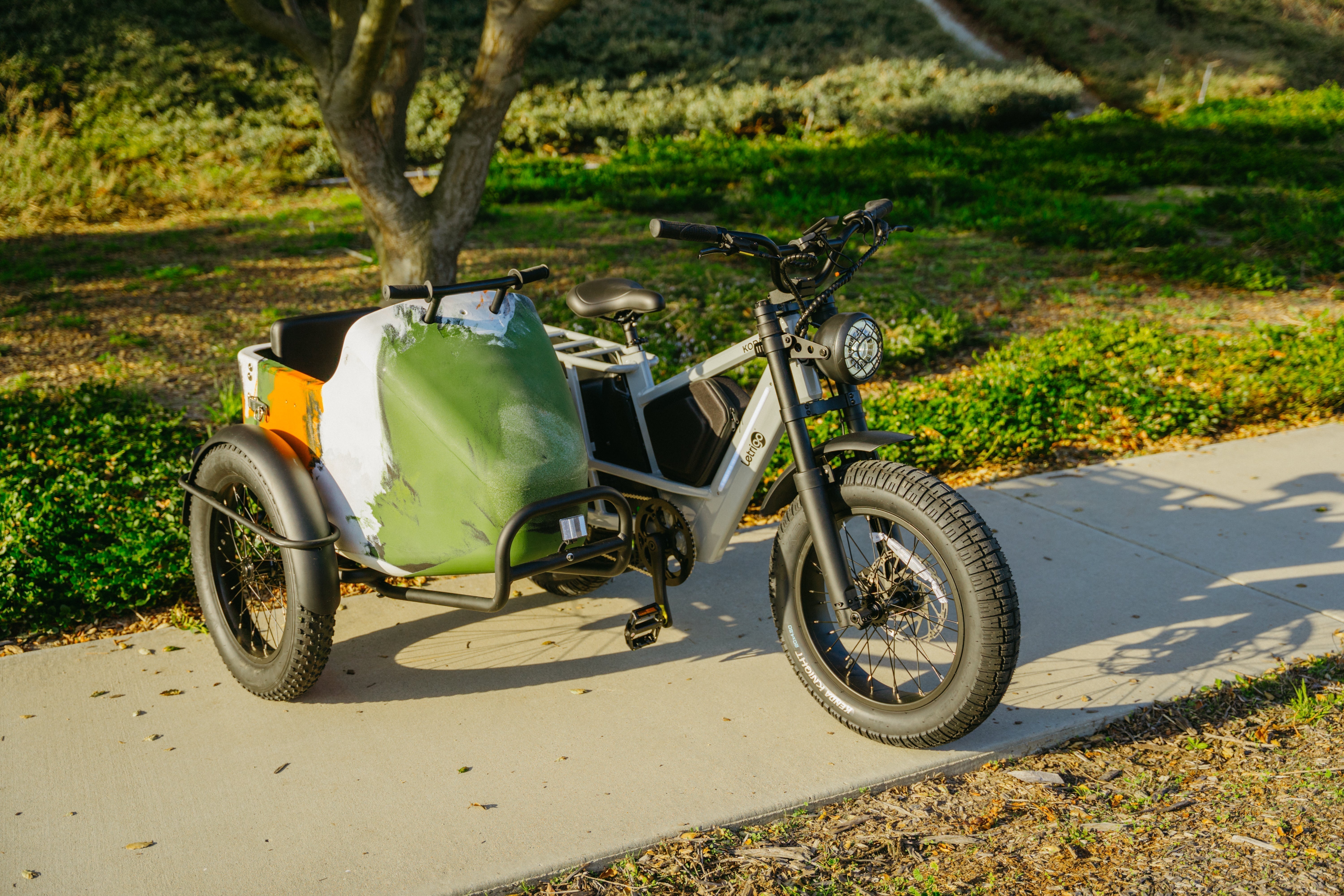 Are Electric Bikes With Sidecars Safe to Ride?