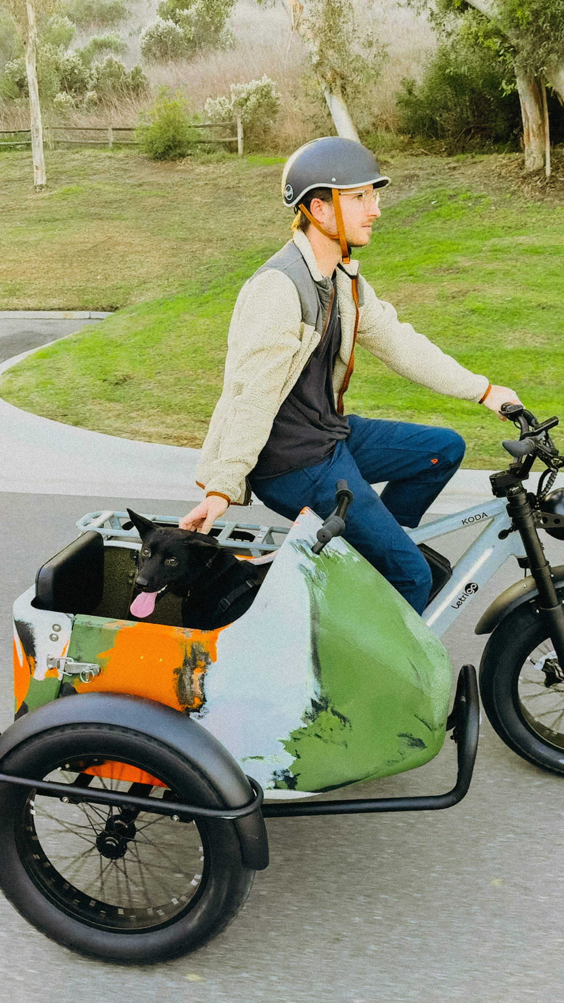 Sidecar01 vs. Rear Safety Passenger Kit: Which Letrigo Passenger Setup Fits Your Family?
