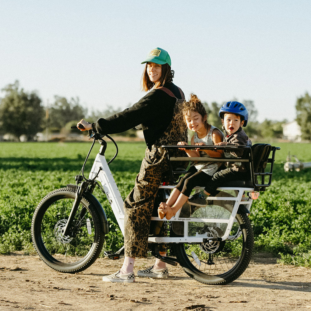 How Long-tail Cargo Ebikes Can Replace Your Family Car