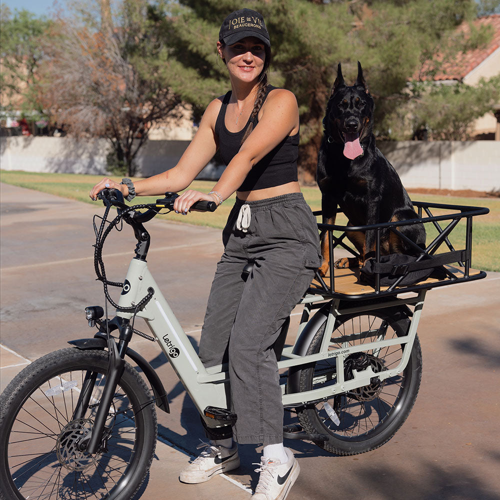 How Long Tail Cargo E-bikes Make Pet Friendly Cycling Possible