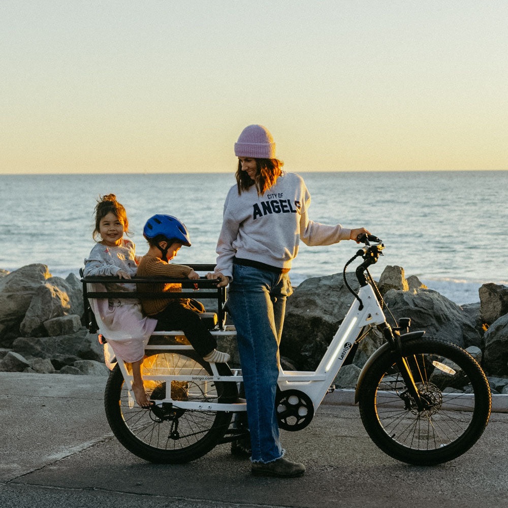 Cargo E-Bike Weight Limits Explained: How Much Can You Safely Carry?