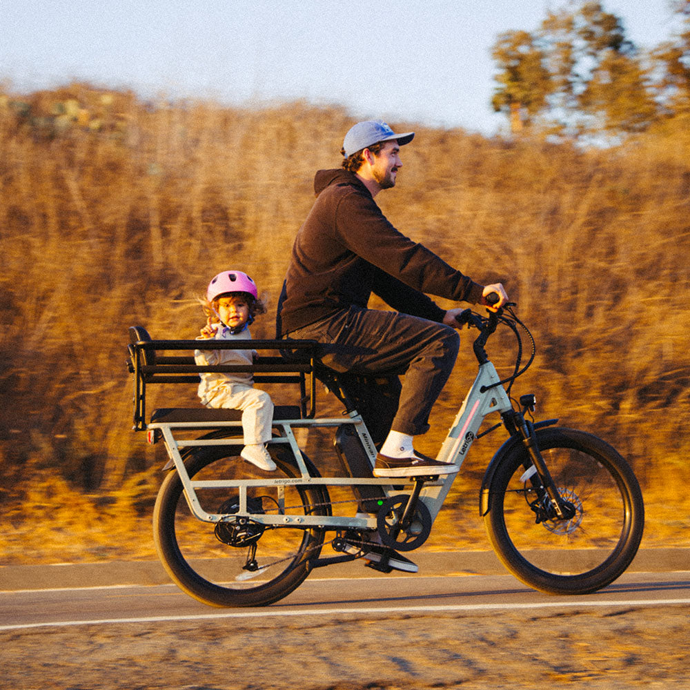 How to Choose the Best Ebike Charger