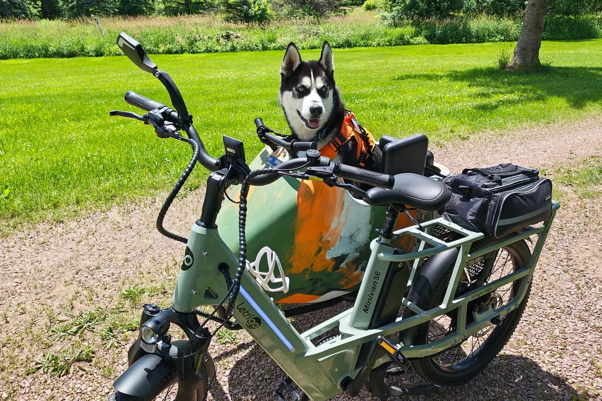E-Bike Sidecar vs. Bike Trailer: Which Is Safer?