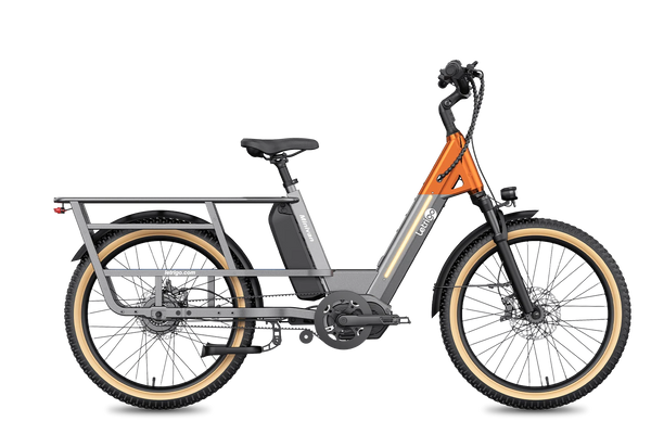 Letrigo Minivan Cargo Ebike